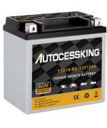 ‎Autocessking YTX14-BS